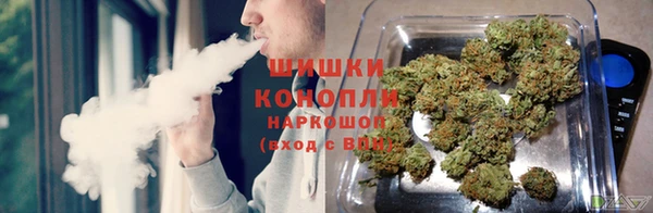 дурь Иннополис