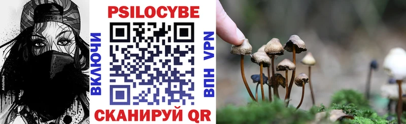 Купить закладки  Геленджик  Псилоцибиновые грибы Psilocybe 
